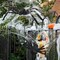 Giant Creepy Spiders Halloween Decor Haunted House Spider Web Party DIY Props